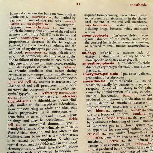 DORLAND’S POCKET MEDICAL DICTIONARY 27th EDITION - Picture 8 of 8